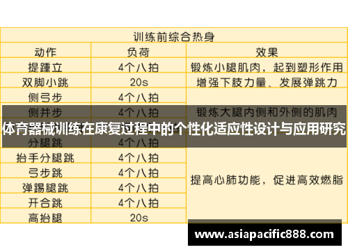 体育器械训练在康复过程中的个性化适应性设计与应用研究