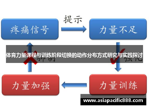体育力量课程与训练阶段切换的动作分布方式研究与实践探讨
