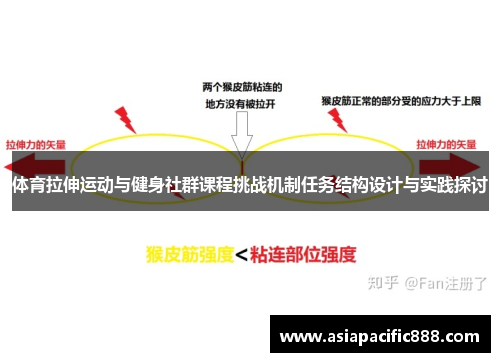 体育拉伸运动与健身社群课程挑战机制任务结构设计与实践探讨