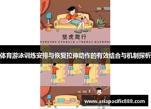 体育游泳训练安排与恢复拉伸动作的有效结合与机制探析